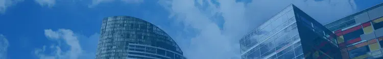 애드인에듀