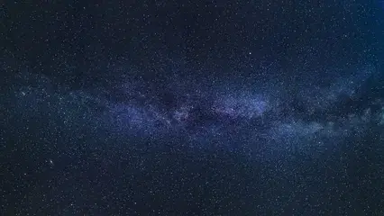 양동준
